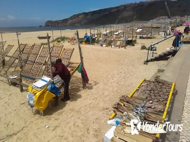 Small Group Tour of the Sanctuary of Fatima, Nazare and Obidos from Lisbon