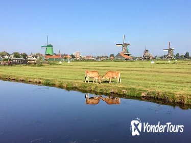 Small Group Zaanse Schans Windmills and This is Holland combi