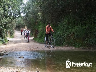 Small-Group Adventure: Cycling in Ria Formosa Natural Park