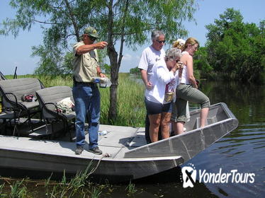 Small-Group Airboat Swamp Adventure and Plantation Tour from New Orleans