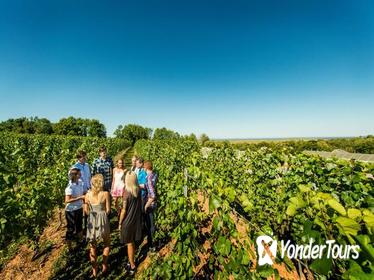 Small-Group Annapolis Valley Wine and Food Tour from Halifax