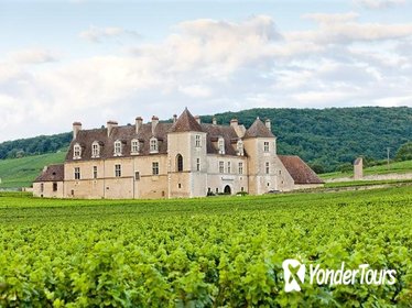 Small-Group Côte de Nuits Burgundy Wine Tour from Beaune