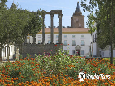 Small-Group Évora Day Trip from Lisbon with Olive Oil Tastings