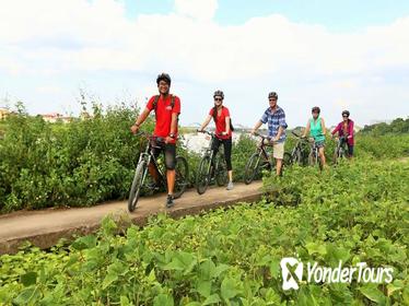 Small-Group Hanoi Countryside Half-Day Bike Tour