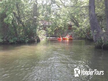 Small-Group Lady Bird Lake Kayak Tour in Austin