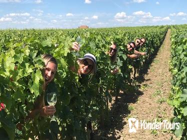 Small-Group Medoc or St-Emilion Wine Tasting and Chateaux Tour from Bordeaux