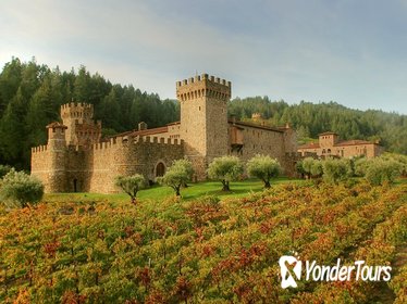 Small-Group Napa Wine Tour With Castello di Amorosa and Lunch