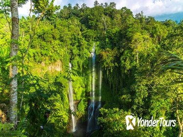 Small-Group Sekumpul Waterfall Jungle Trek with Lunch