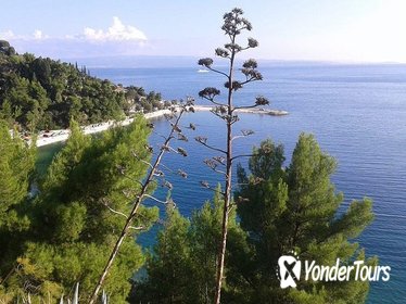 Small-Group Split City Bike Tour with Beach Visit