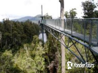 Small-group tour from Hobart to Mt. Wellington and Tahune AirWalk