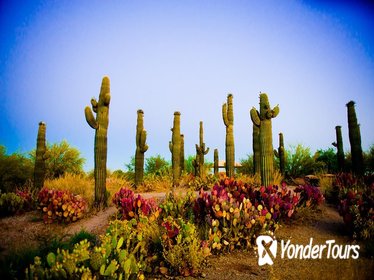 Small-Group Tour: Deluxe Phoenix and Scottsdale Day Trip