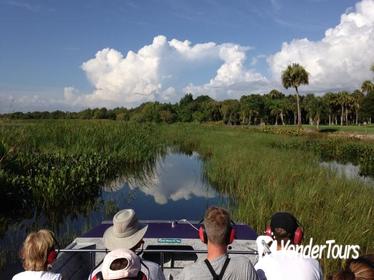 Small-Group Tour: Everglades Adventure Day Trip from Greater Fort Myers/Naples Area