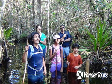 Small-Group Tour: Florida Everglades Swamp Walking Eco-Tour