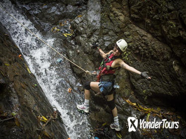 Small-Group Tour: Waterfall Rappelling, Zipline and Trek Adventure from Jaco