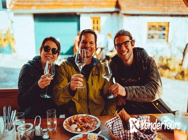 Small-Group Wachau Bike Tour with Wine-Tasting from Vienna