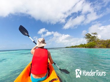 Snorkel and Kayak Adventure in Antigua