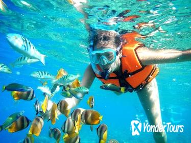 Snorkel Tour in Puerto Morelos from Cancun