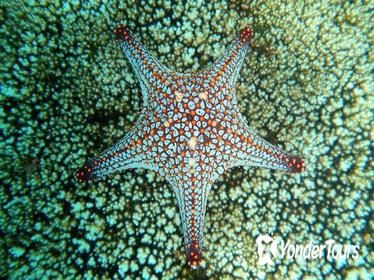 Snorkeling at Huatulco Bay