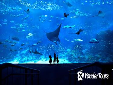 South East Asia (SEA) Aquarium Admission Ticket