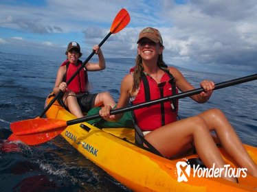 South Maui Kayak and Snorkel Tour with Turtles