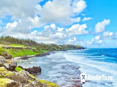 South Mauritius Private Day Tour: Tea Factory, Nature Park and Wild South Coast