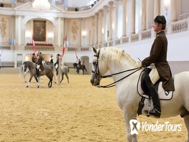Spanish Riding School: Morning Exercise Entrance Ticket in Vienna