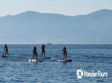 Split Stand Up Paddleboarding Tour