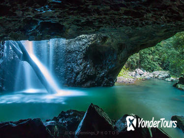 Springbrook National Park, Natural Bridge Hiking Tour from the Gold Coast