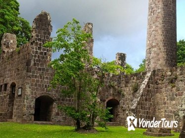 St Kitts Plantation and Beach Tour