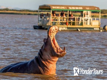 St Lucia Wetlands Day Trip from Durban Including Estuary Boat Ride