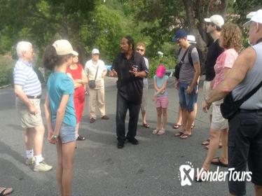 St Thomas Shopping and Sightseeing Half-Day Tour St Thomas Shopping and Sightseeing Half-Day Tour