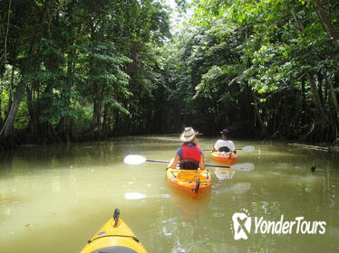 St. Lucia Marigot Bay to Roseau River Kayaking Tour