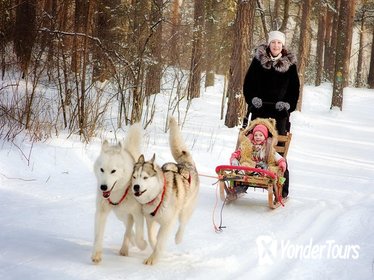St. Petersburg Winter Peterhof Tour and Malamute Sledding