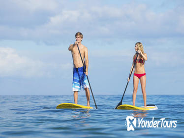 Stand Up Paddling Mangrove Lagoon Tour