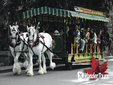 Stanley Park Horse-Drawn Tours