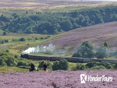 Steam Trains, Whitby, and the North York Moors Full-Day Tour from York