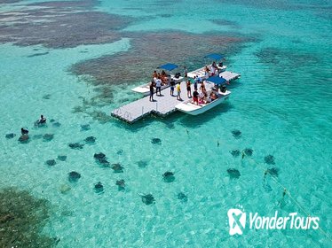 Stingray City Antigua