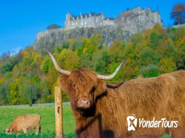 Stirling Castle,Trossachs National and Loch Lomond Day Tour from Edinburgh