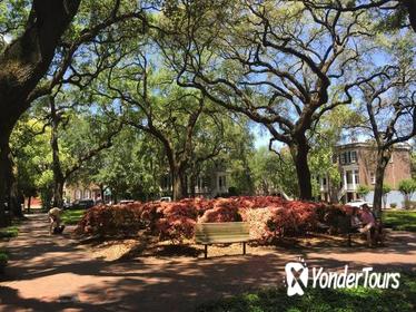 Stroll with a Local through Savannah's Historic District
