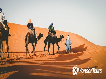 Sunset Camel Ride in the Merzouga Dunes