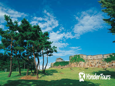Suwon Hwaseong Fortress Half-Day Small-Group Tour from Seoul