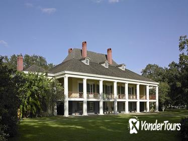 Swamp Boat Ride and Southern Plantation Tour from New Orleans