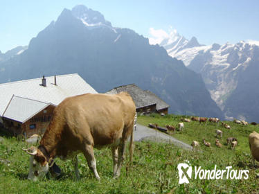 Switzerland Countryside and Traditions Tour from Zurich