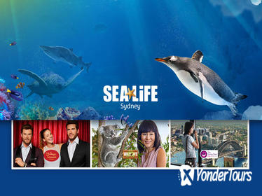 Sydney Attractions Pass: SEA LIFE Aquarium, Sydney Tower Eye, WILD LIFE Zoo and Madame Tussauds