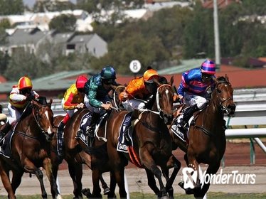 Sydney Harbour Melbourne Cup Cruise