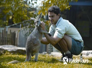 Sydney Taronga Zoo General Entry Ticket and Wild Australia Experience