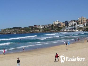 Sydney: Bondi Beach and Kings Cross Tour plus Sydney Harbour Lunch Cruise