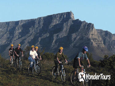 Table Mountain Bike Tour from Cape Town