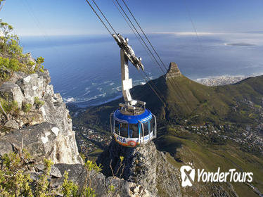 Table Mountain Skip-the-Line Ticket and Half-Day Private Chauffeur