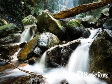 Tai Mo Shan Waterfall Adventure Hike